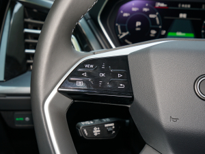 202250 e-tron quattro  п؅^