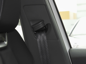 202240 e-tron (chung)а g