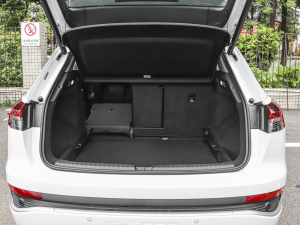 202240 e-tron (chung)а g