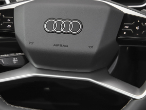 202240 e-tron (chung)а п؅^(q)