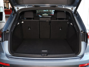 202250 e-tron quattro (chung) g