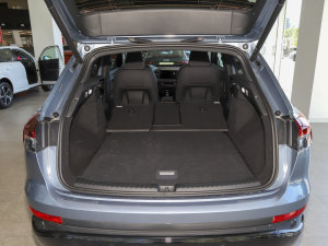 202250 e-tron quattro  g