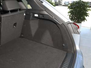 202250 e-tron quattro  g