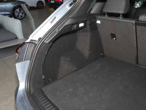 202250 e-tron quattro  g