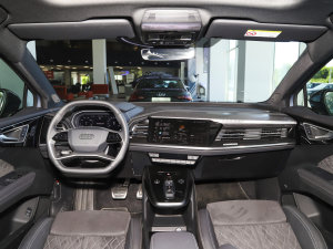 202250 e-tron quattro (chung) (ni)ȫ