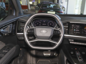 202250 e-tron quattro (chung) P