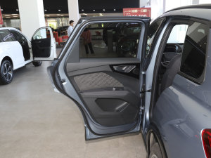 202250 e-tron quattro (chung) ܇T