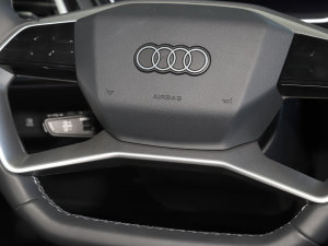 202250 e-tron quattro (chung) п؅^(q)