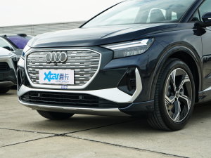 202240 e-tron (chung) (x)(ji)^