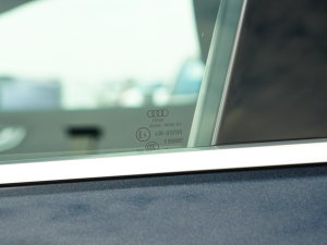 202240 e-tron (chung) (x)(ji)^