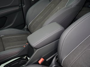 202240 e-tron (chung) 