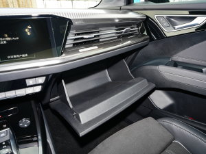 202240 e-tron (chung) 