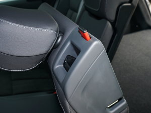 202240 e-tron (chung) g