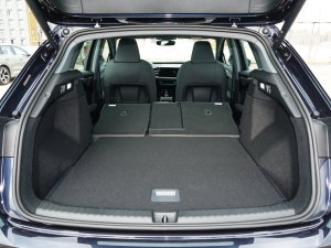 202240 e-tron (chung) g