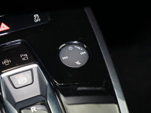 202240 e-tron (chung) {(dio)(ji)