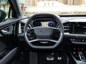 202240 e-tron (chung) P