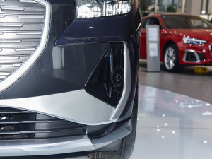 202250 e-tron quattro (chung) (ji)^