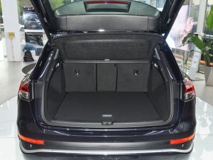 202250 e-tron quattro (chung) g