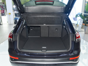 202250 e-tron quattro (chung) g