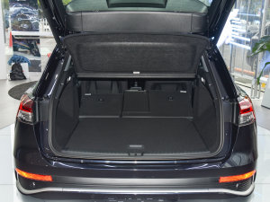 202250 e-tron quattro (chung) g