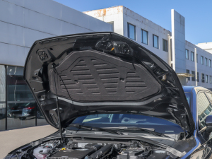 2022A(y)3L Limousine 35 TFSI A\ l(f)әCœ