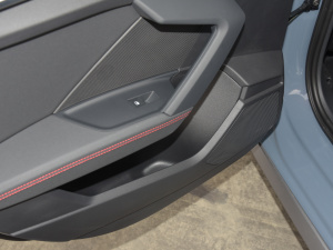 2022A3L Limousine 35 TFSI RS׼ȼ Tg