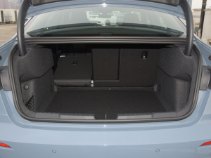 2022A3L Limousine 35 TFSI RS׼ȼ g