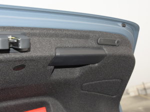 2022A3L Limousine 35 TFSI RS׼ȼ g