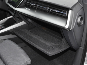 2022Sportback 35 TFSI M(jn)ȡ 