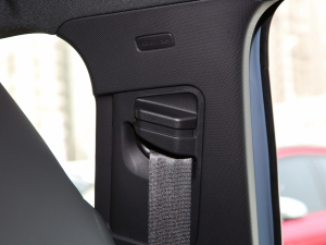 2022Sportback 35 TFSI RS׼ȼ g