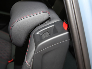 2022Sportback 35 TFSI RS׼ȼ g