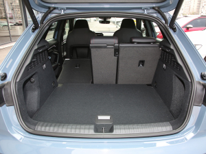 2022Sportback 35 TFSI RS׼ȼ g