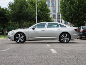 202345 TFSI quattro x(dng) (c)