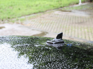 202355 TFSI quattro ŞӸ ^