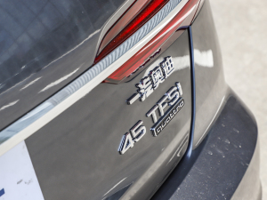 202345 TFSI quattro  ^