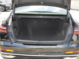 202340 TFSI A(dng) g