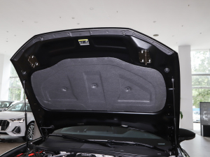 202345 TFSI xӸ lәCœ