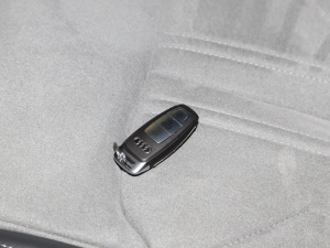 202345 TFSI xӸ ܇耳