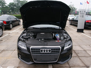 2010款1.8TFSI CVT公务版 其它