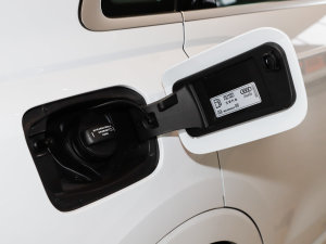 202335 TFSI MȡӸ(1.4T) w