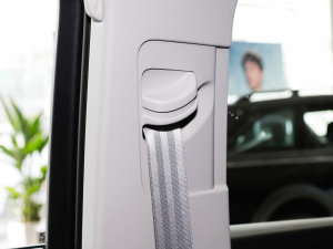 202335 TFSI MȡӸ(1.4T) g