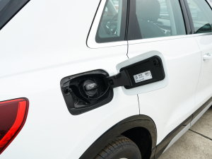 202335 TFSI r(sh)(1.4T) w