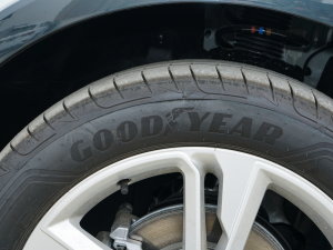 202335 TFSI r(sh)(1.4T) ݆̥Ʒ