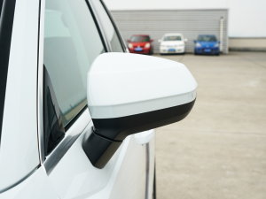 202335 TFSI r(sh)(1.4T) (x)(ji)^