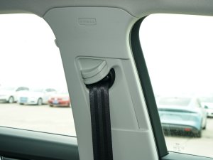 202340 TFSI RS׼ȼ g