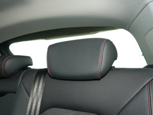 202340 TFSI RS׼ȼ g