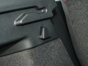 202340 TFSI RS׼ȼ g