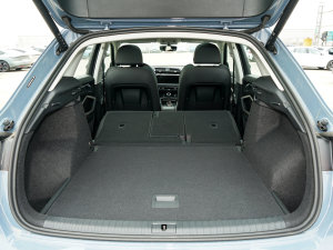 202340 TFSI RS׼ȼ g