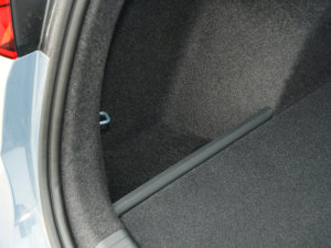 202340 TFSI RS׼ȼ g