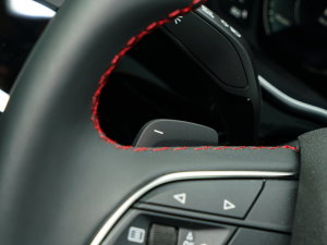 202340 TFSI RS׼ȼ п؅^